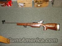 Varmint Rifle/Tactical  Tactical/Sniper Rifles