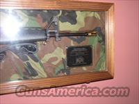 VEITNAM M16 COMMEMORATIVE RIFLE  Guns > Rifles > Custom Rifles > AR-15 Family