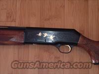beretta DU presentation  Beretta Shotguns > Autoloaders > Hunting