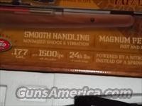 Benjamin Nitro Piston Air Rifle  Air Rifles - Pistols > Adult High Velocity