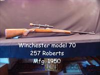 Winchester Model 70  257 Roberts  1950 Made  Winchester Rifles - Modern Bolt/Auto/Single > Model 70 > Pre-64