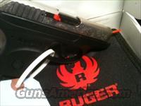 RUGER LCP-TS TALO  NICKLE/SILVER LOGO  Ruger Semi-Auto Pistols > LCP