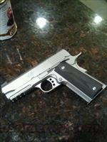 Kimber STAINLESS PRO TLE/RL II  Kimber of America Pistols