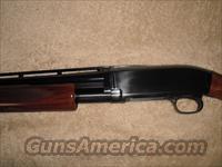 browning reproduction model 12 28 gauge mod.  Winchester Shotguns - Modern > Pump Action > Hunting
