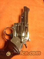 Colt Trooper MK III 4" Nickel  Guns > Pistols > Colt Double Action Revolvers- Modern