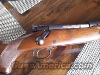 Winchester Mod 70 pre 64 Super Grade African 458 cal  Winchester Rifles - Modern Bolt/Auto/Single > Model 70 > Pre-64