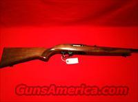 Ruger  Ruger Rifles > 10-22