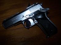 Llama .380 Satin Chrome Finish  Guns > Pistols > Llama Pistols