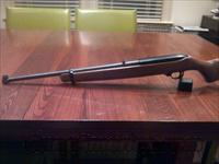 Ruger 10-22 with 10 round mag   Ruger Rifles > 10-22