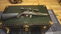 Mossberg Int'l 702 Plinkster  Mossberg Rifles > Plinkster Series