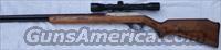 Marlin .22 Rifle w/ Glenfield 4x32 Scope  Marlin Rifles > Modern > Semi-auto