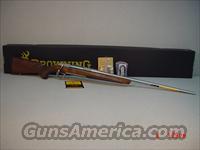 BROWNING X-BOLT HUNTER STAINLESS 300WINMAG CAL  Browning Rifles > Bolt Action > Hunting > Stainless