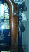 ANSCHUTZ 164M 22 MAG  Anschutz Rifles