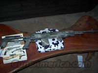 Mark 14 Mod 0 Enhanced Battle Rifle (EBR)  Tactical/Sniper Rifles