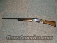 Springfield 67 Model E 12GA Pump  Savage Shotguns