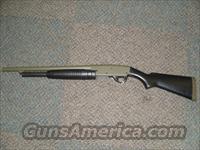 Stevens 77A 12GA Home Defense 18.5"Bbl  Stevens Shotguns
