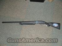 Mossberg 930 12GA 28"Bbl Synthetic Stock  Mossberg Shotguns > Autoloaders