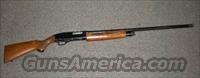 Winchester 1200  Guns > Shotguns > Winchester Shotguns - Modern > Pump Action > Hunting