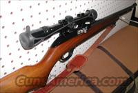 Marlin Model 60 22lr Semi-Automatic Rifle with Bushnell Scope  Marlin Rifles > Modern > Semi-auto