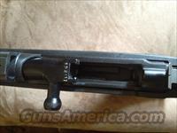 Russian SKS  Guns > Rifles > SKS Rifles