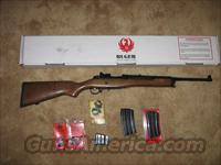 Ruger Mini-14  Ruger Rifles > Mini-14 Type