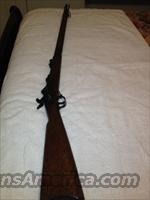 SpringField 1873 Trapdoor  XYZ Misc Rifles