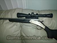 New Englang .223cal Rare Stainless Finish  New England Firearms (NEF) Rifles