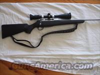 TIKKA T3-LITE in .243 WIN  Tikka Rifles > T3