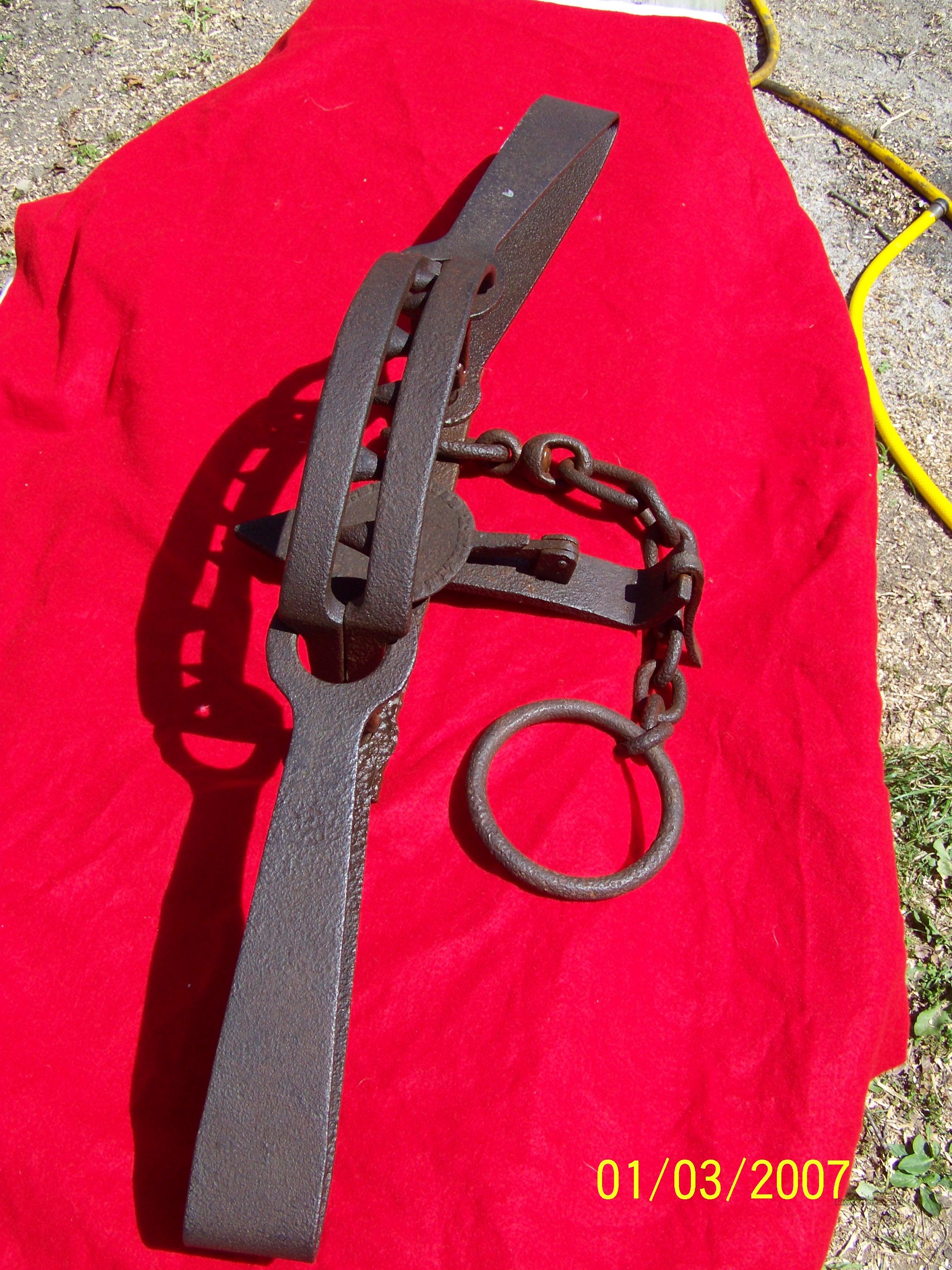 NEWHOUSE BEAR TRAP 15 for sale