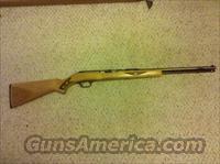 springfield -savage arms- semi auto .22 model 187 T-S  Guns > Rifles > A Misc Rifles