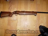 KIMBER OF AMERICA GOVERNMENT TARGET MODEL  Kimber of Oregon Rifles