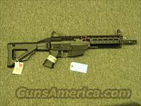Sig Sauer 556 Patrol SWAT SBR  Sig - Sauer/Sigarms Rifles
