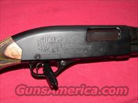 Winchester Model 1300 (National Wild Turkey Federation Commemorative) 12 gauge Pump Shotgun  Winchester Shotgun Commemoratives