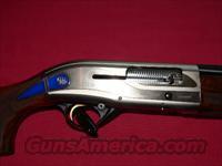 REDUCED Beretta AL 391 Teknys Gold Sporting Model Semi-Automatic 12 gauge Shotgun  Beretta Shotguns > Autoloaders > Trap/Skeet