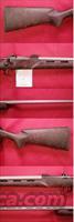 Cooper Model 21 Phoenix 20 VT  Cooper Arms Rifles