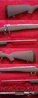 Kimber 84M Montana .243 Win  Kimber of America Rifles