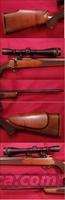 SAKO  6 PPC  Sako Rifles > Other Bolt Action