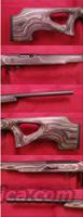 Ruger 10/22 Target  Ruger Rifles > 10-22