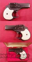 High Standard 22 Magnum Derringer  High Standard Pistols