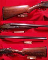 KNICKERBOCKER SXS  12 GA  American Arms Shotguns