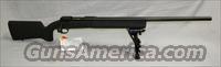 Savage 10 FCP HS .308  Savage Rifles > Accutrigger Models > Tactical