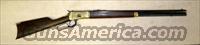 Puma 92 .45 Colt Ocagon.bbl. brass finish  Winchester Replica Rifle Misc.