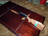 Winchester 12 GA   Winchester Shotguns - Modern > Pump Action > Trap/Skeet