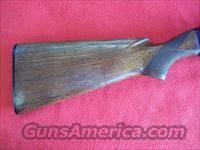 Winchester Model 50 Fwt.12ga. 28" Mod.   Winchester Shotguns - Modern > Autoloaders > Hunting