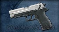 Sig Sauer Mosquito Two Tone   Sig - Sauer/Sigarms Pistols > Mosquito