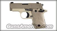 SIG 238-380 DESERT  Sig - Sauer/Sigarms Pistols > P238
