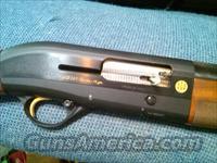 Beretta AL391 Urika Gold Sporting 12 ga  Beretta Shotguns > Autoloaders > Hunting