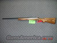 Winchester Coyote   Winchester Rifles - Modern Bolt/Auto/Single > Model 70 > Post-64
