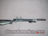 steyr piv