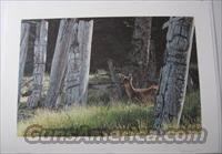 Terry Isaac's "Haida Dreams" Artists Proof  Artwork